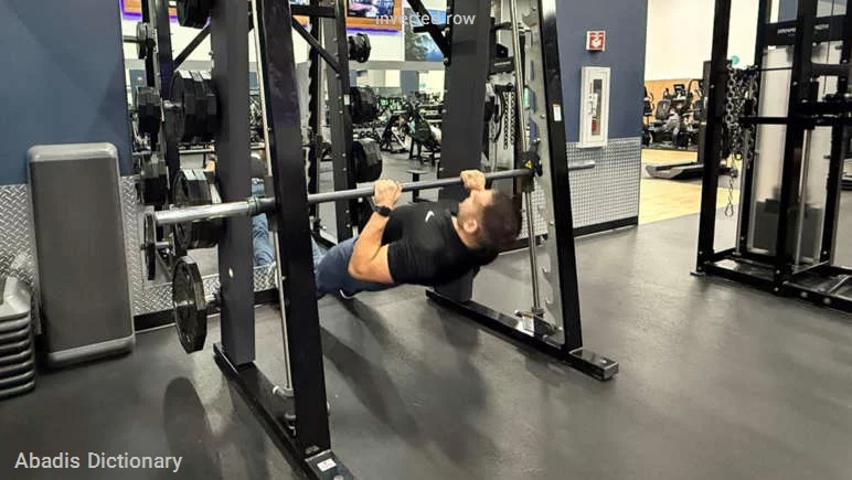 inverted row